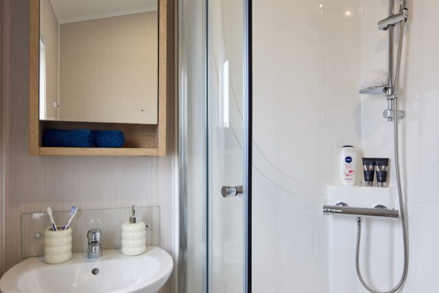 The New Holland Ensuite Bathroom1 min