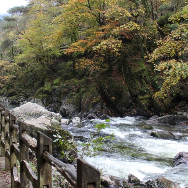 Aberglaslyn bryn du Beddgelert