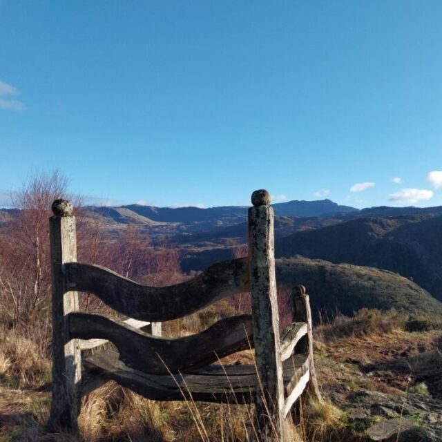 Giants chair