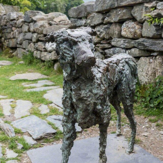 Gelert dog 2024 01 23 133503 cmxd