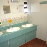 Toilet Blocks HM 12