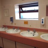 Toilet Blocks HM 15
