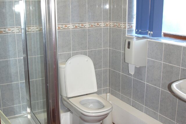 Toilet Blocks HM 9
