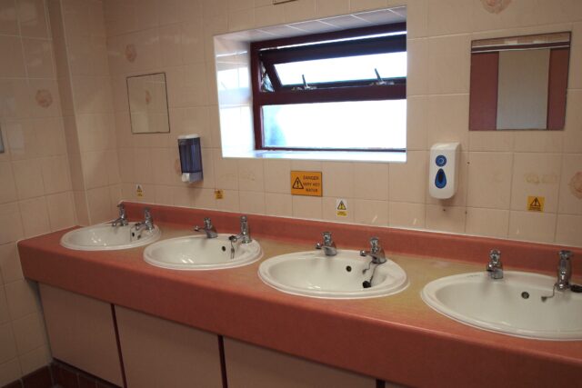 Toilet Blocks HM 15