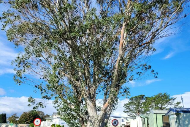 IMG 20220929 WA0042 Copy